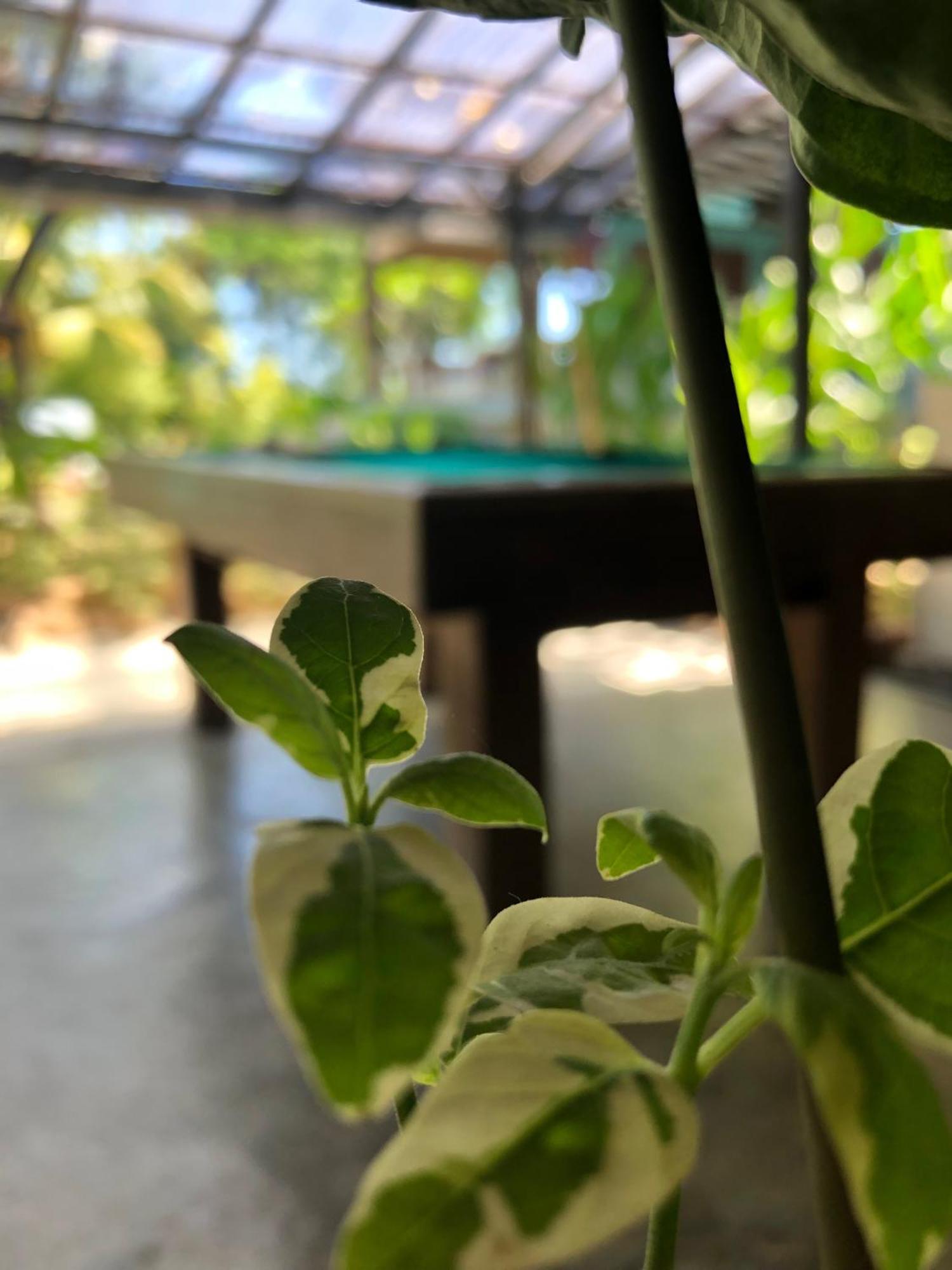 Wae Molas Hotel Labuan Bajo Ngoại thất bức ảnh